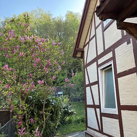 Grosse Am Wald Mit Garten Und Parkplatz Apartman