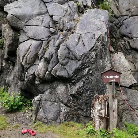 Grosse Am Wald Mit Garten Und Parkplatz Apartman Goslar