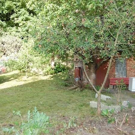 Grosse Am Wald Mit Garten Und Parkplatz