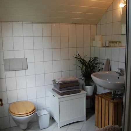 Grosse Am Wald Mit Garten Und Parkplatz * 戈斯拉尔