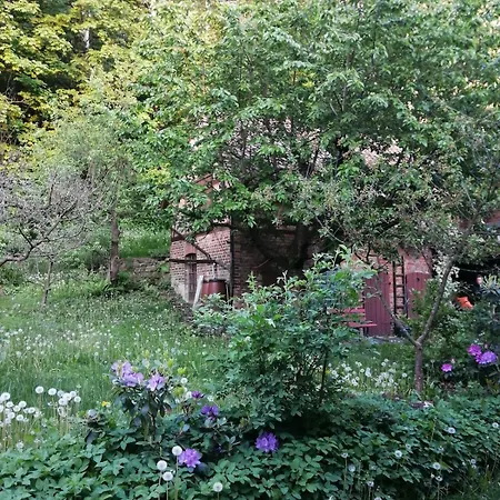 Grosse Am Wald Mit Garten Und Parkplatz Apartman *